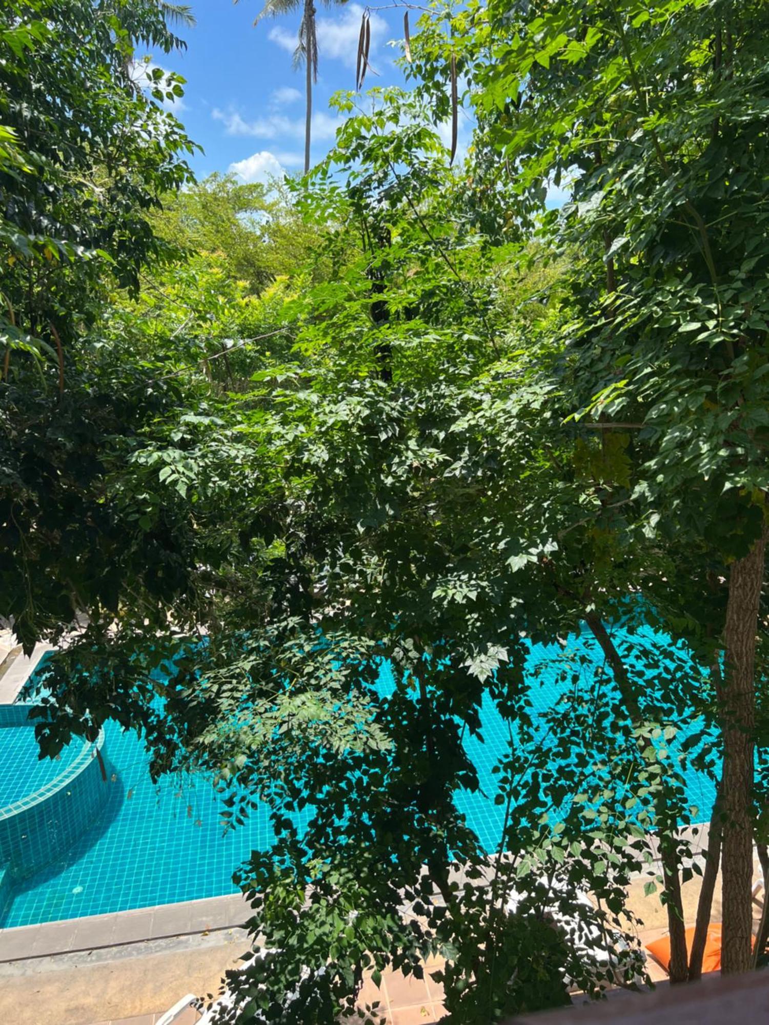 Samui Seabreeze Place Κο Σαμούι Εξωτερικό φωτογραφία