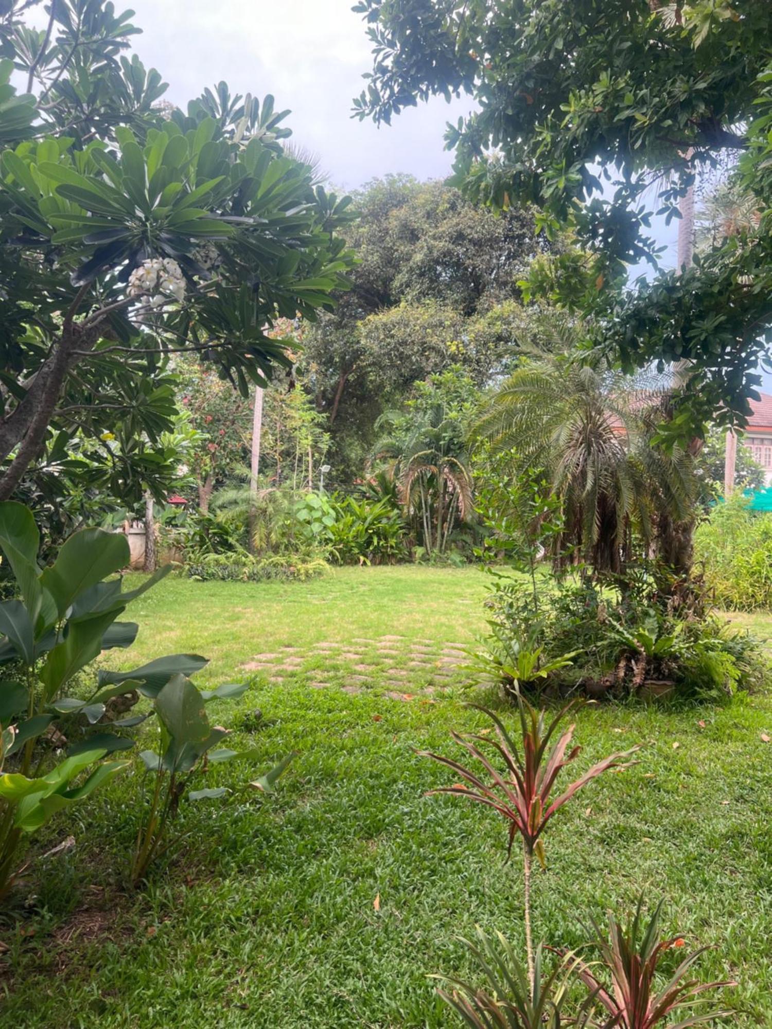 Samui Seabreeze Place Κο Σαμούι Εξωτερικό φωτογραφία